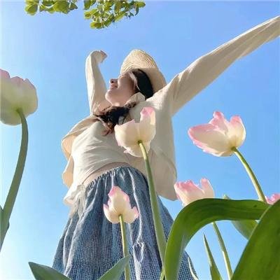 暗芝居第七季